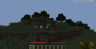 Screenshot: Minecraft