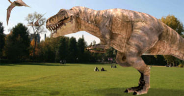 Magical Park Pokémon Go