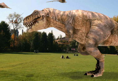 Magical Park Pokémon Go