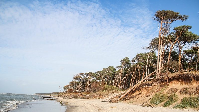 Fischland Darss Weststrand