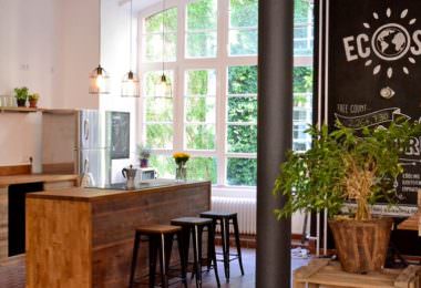 Ecosia, Berlin, Suchmaschine, SEO