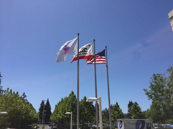 Apple, Apple Campus, Apple Park, Cupertino, Apple-Rundgang