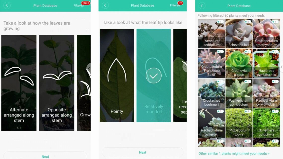 Xiaomi Flower Care Smart Sensor im Test Grüner Daumen dank Technik