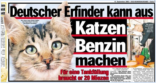 Bild tote Katzen Treibstoff