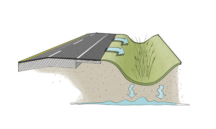 Bio-Drainage The Ray Highway