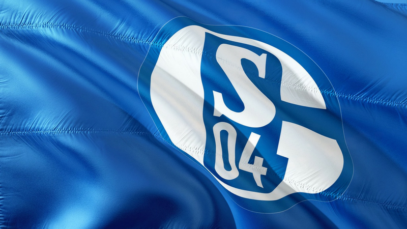 Schalke 04: League of Legends in der Veltins-Arena