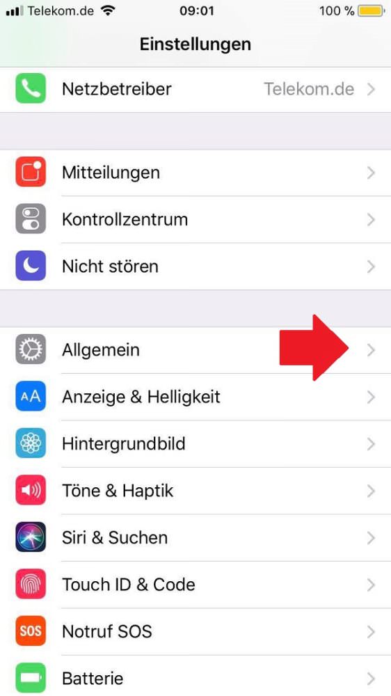 iPhone, Schwarz-Weiß-Modus, Schwarz-Weiß, Graustufen