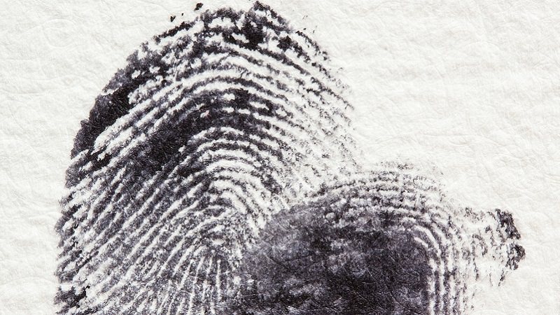 Fingerabdruck, Fingerprint, Touch ID