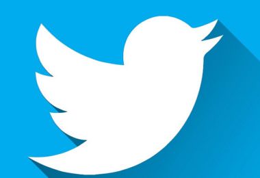 Twitter, Tweet, Tweets einbetten