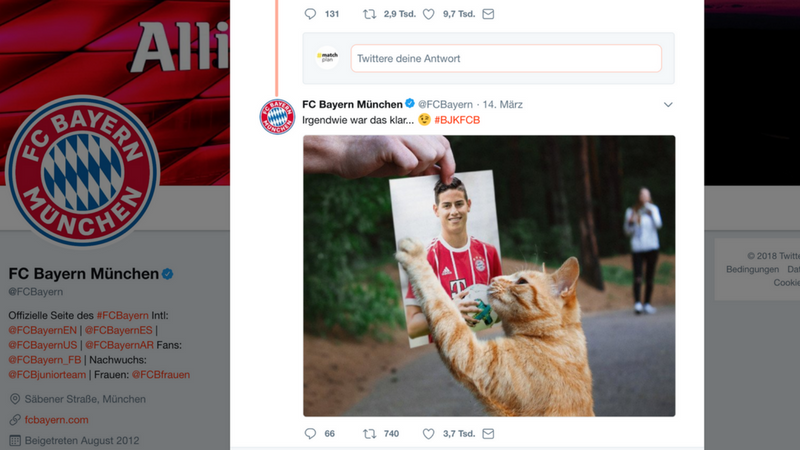 Cat-Content & Kids: Top-Teams setzen auf Viral-Klassiker