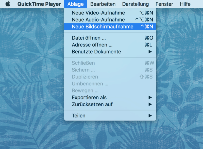 Birldschrimaufnahme von Quciktime für Mac.