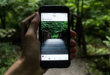 Instagram, Wald, Foto, Dschungel, Smartphone, Kennzeichnung von Werbung