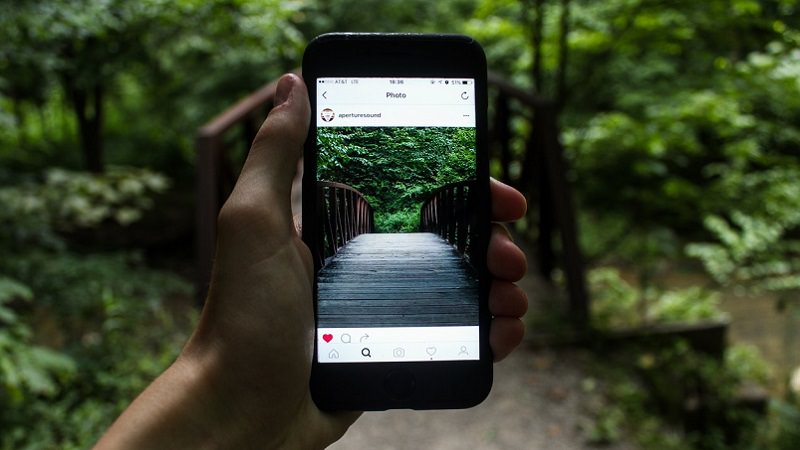 Instagram, Wald, Foto, Dschungel, Smartphone, Kennzeichnung von Werbung