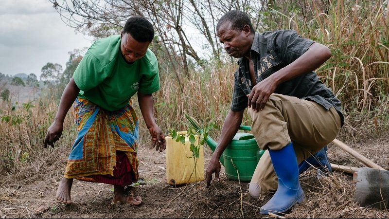 Ecosia Uganda Jane Goodall Institute