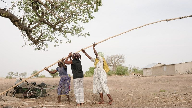 Ecosia Ghana