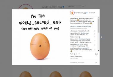 World Record Egg, Chris Godfrey