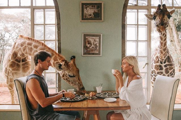 Giraffe Manor Hotel Frühstück mit Giraffen