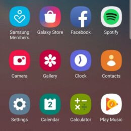 Samsung Galaxy S10+