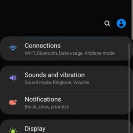 Samsung Galaxy S10+
