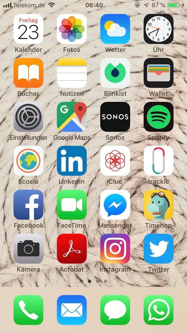 Anna-Lena Müller, Volkswagen AG, VW, Apps, iPhone, Homescreen