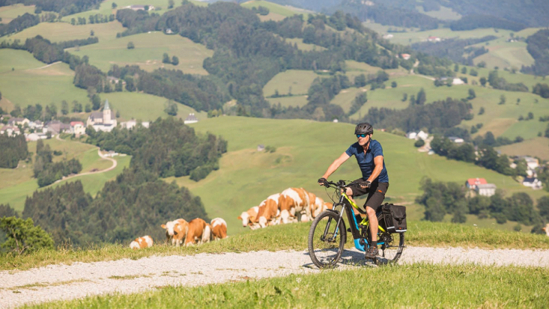 Mann auf KTM Bike in Österreich mit Berglandschaft im Hintergrund