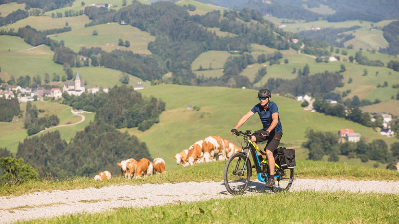 E-Bikes, E-Bike, Elektrofahrrad, E-Fahrrad