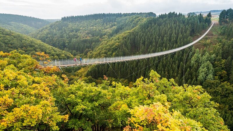 Geierlay, Herbst, Wandern, Hunsrück, Brücke