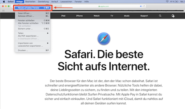 safari inkognito modus