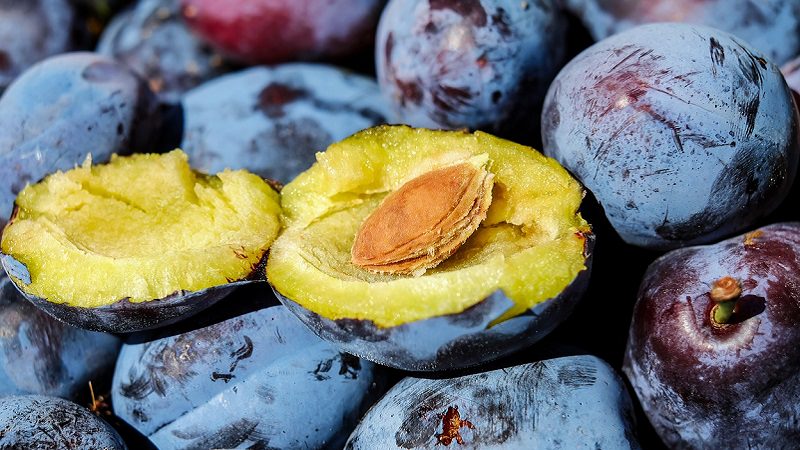 Zwetschge, Steinobst, Obstkern, Pflaume