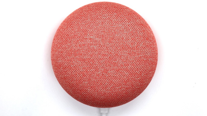 Google Home Mini, Google Assistant