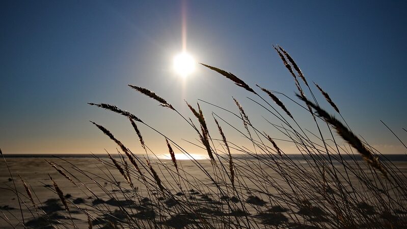 Nebel, Amrum