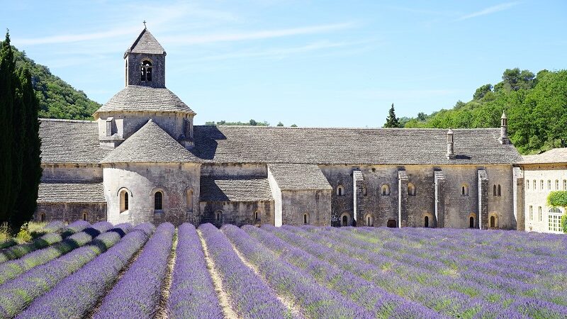 Provence, Frankreich, Abbaye de Senanque, Lavendel