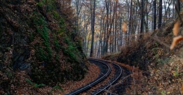 Nationalpark Harz