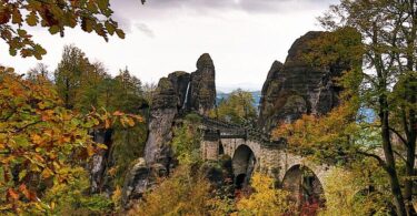 Wald, Herbst