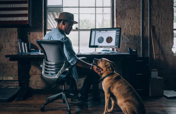 Hund, Büro, hundefreundlich