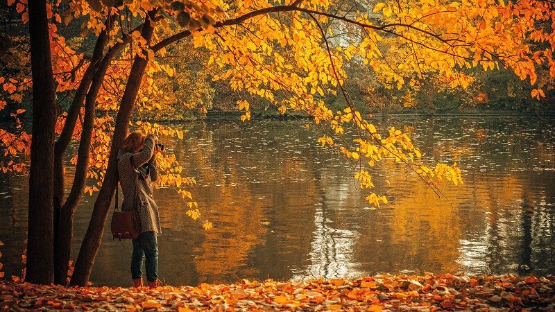 Herbst, Park, Herastrau Park, Bukarest, Rumänien
