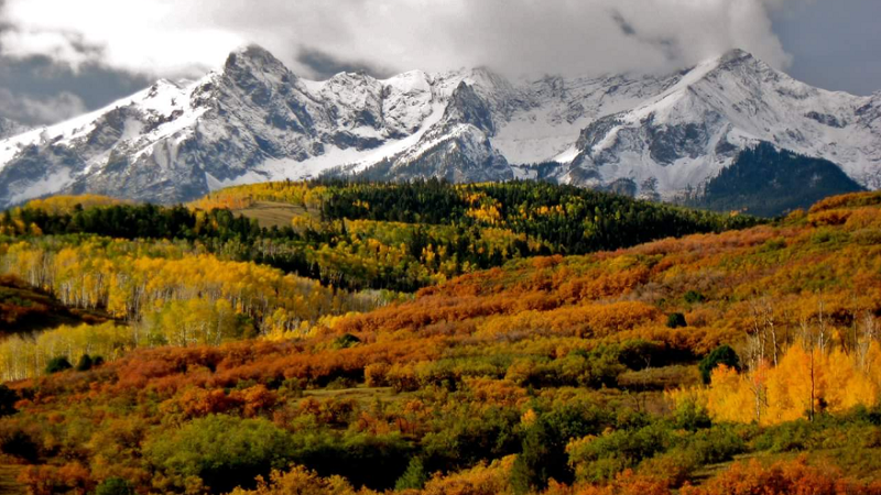 Ridgway, Colorado, Herbst, Herbstwald, Natur