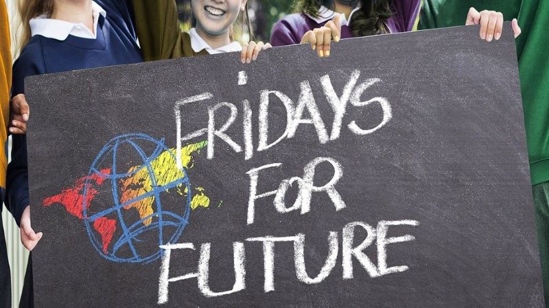 Fridays for Future, Twitter, Politik, Satire