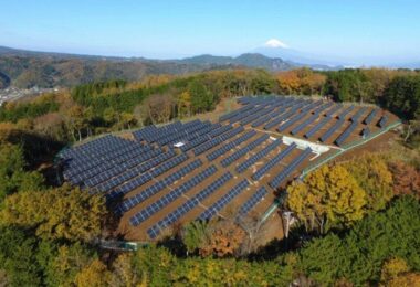 Landwirtschaft Solaranlagen, Solaranlagen Lebensmittelpreise, Solaranlagen, Japan, Natur, Solarnergie, Fotovoltaik, Landwirtschaft