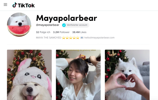 Mayapolarbear