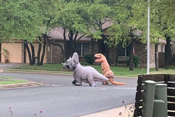 Dinosaurier, Straße, Verkleidung