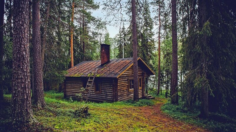 Finnland, Blockhaus, Ferienhaus, Wald, Lichtung