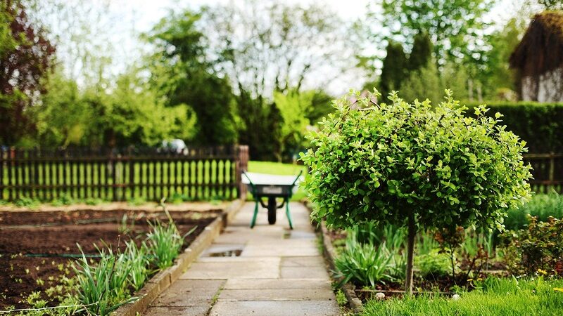 Garten, Kleingarten, Schrebergarten, Schubkarre