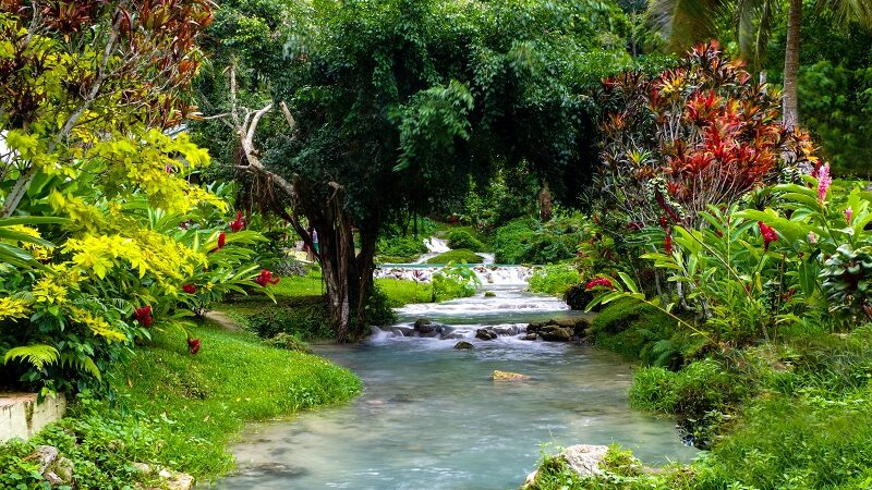 Vanuatu, Natur, tropisch, Ozeanien, Insel