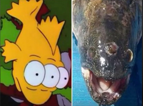 fish three eyed, simpsons,