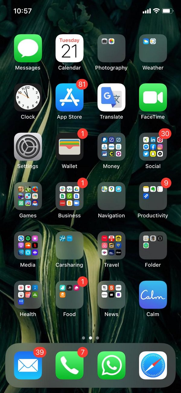 Homescreen, iPhone, Apps, Apple, Monique Hoell, HelloBody, Hello Body