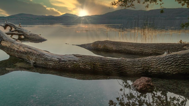 Laacher See, Rheinland-Pfalz, Wasser, Natur