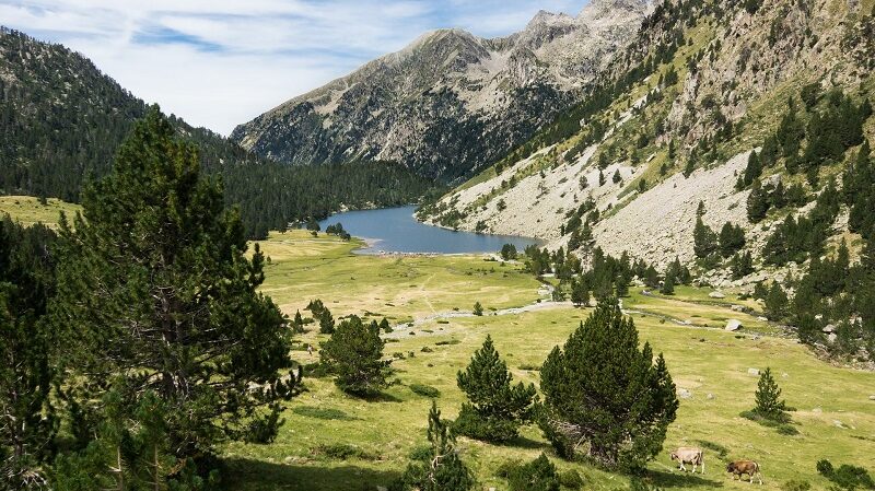 Pyrenäen, Spanien, Berge, Natur, Landschaft, See