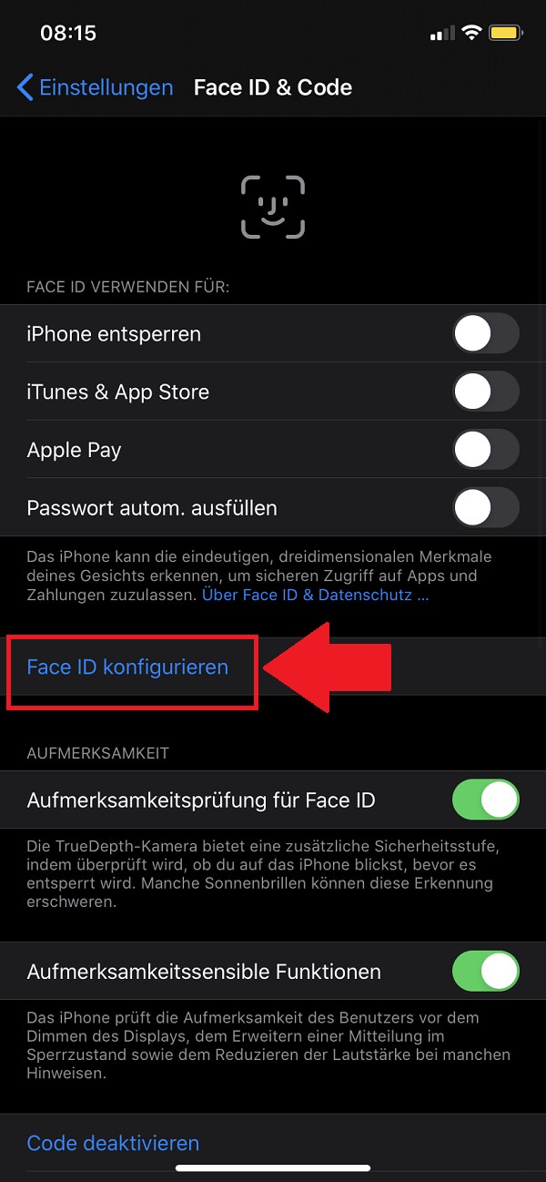 Apple Face ID einrichten, iPhone Face ID einrichten, iPad Face ID einrichten