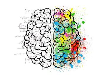 Gehirn, Brain, Geisteshaltung, Grundhaltung, Einstellung, kognitive Flexibilität, mentale Flexibilität